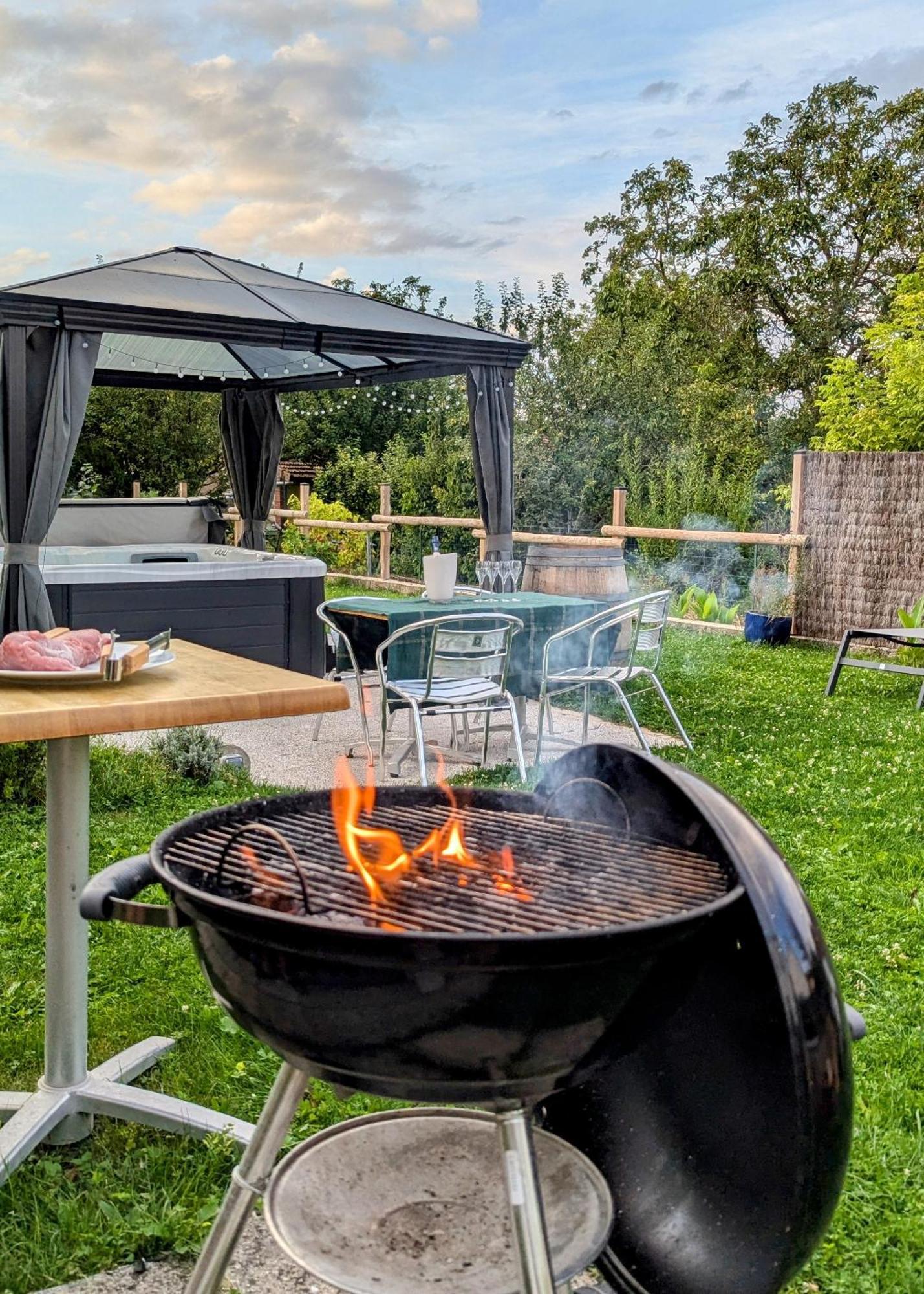 Le Cemarose: Spa, Jardin, Terrasse Et Jolie Vue Au Coeur D'Épernay Eksteriør billede